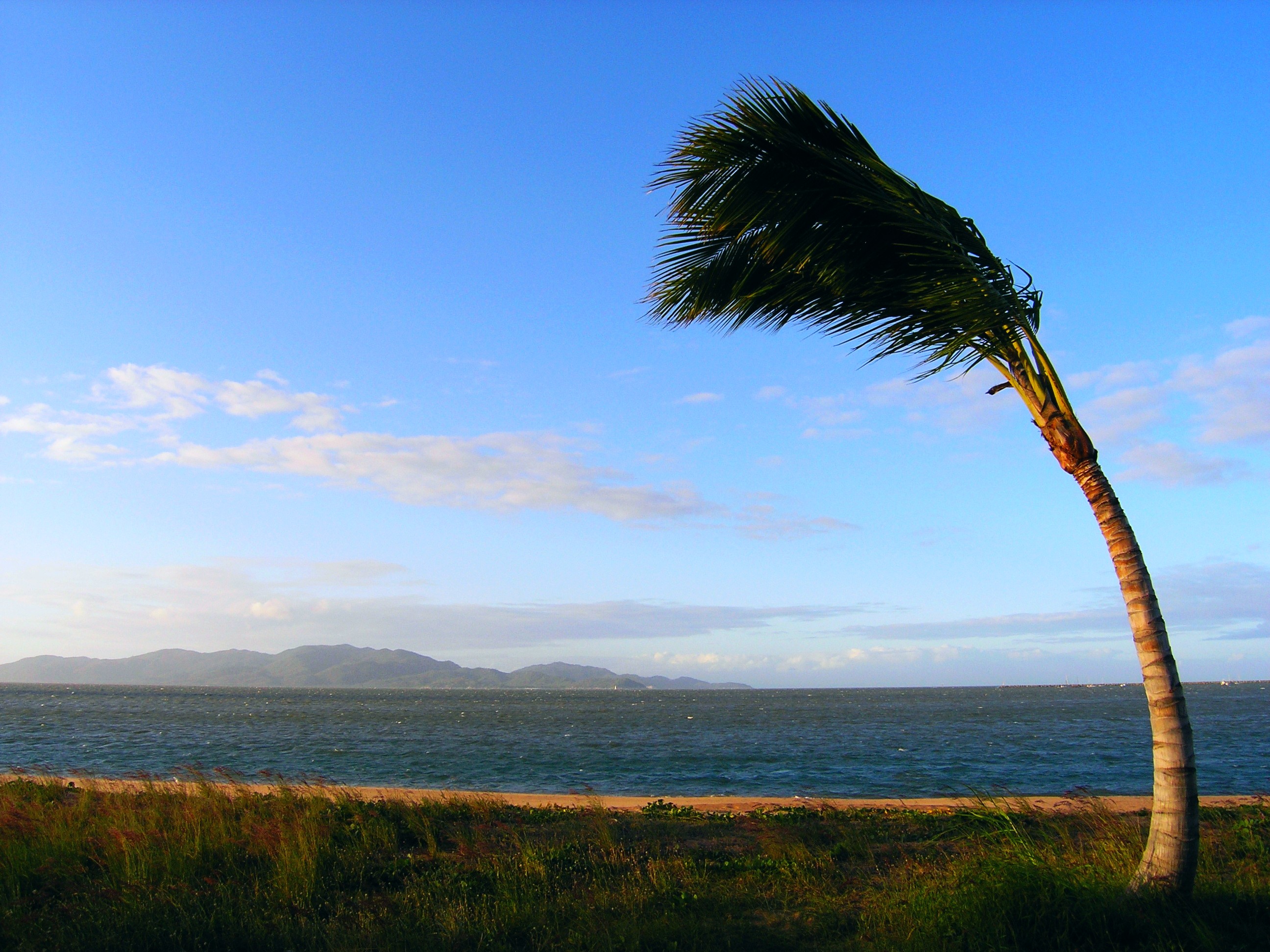 What Is Meaning Of Windy